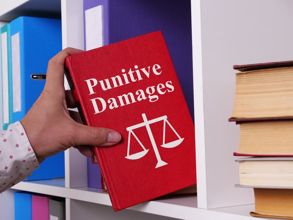 Punitive Damages in Truck Accident Case